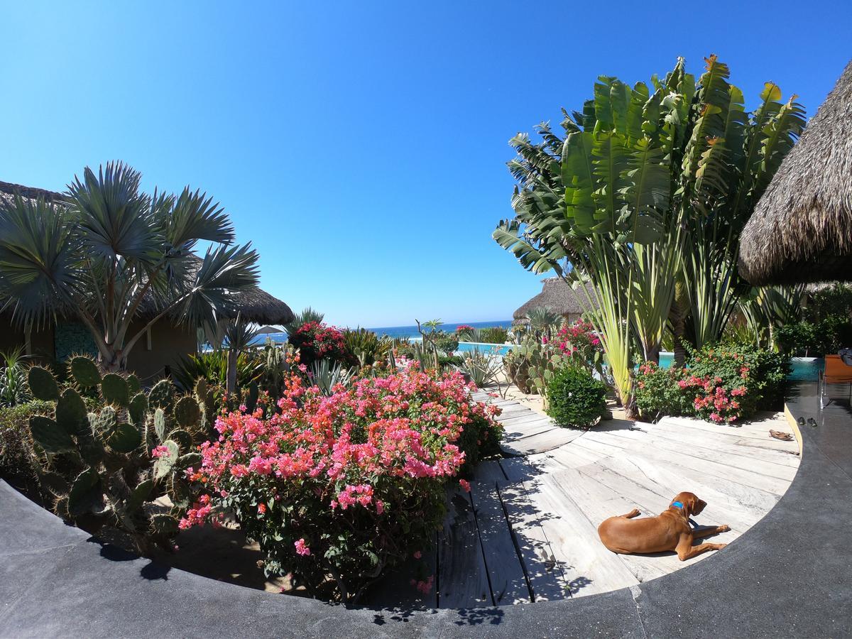 Samora Luxury Resort Santa Maria Colotepec Exterior photo